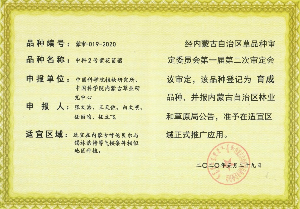 中科2号紫花苜蓿