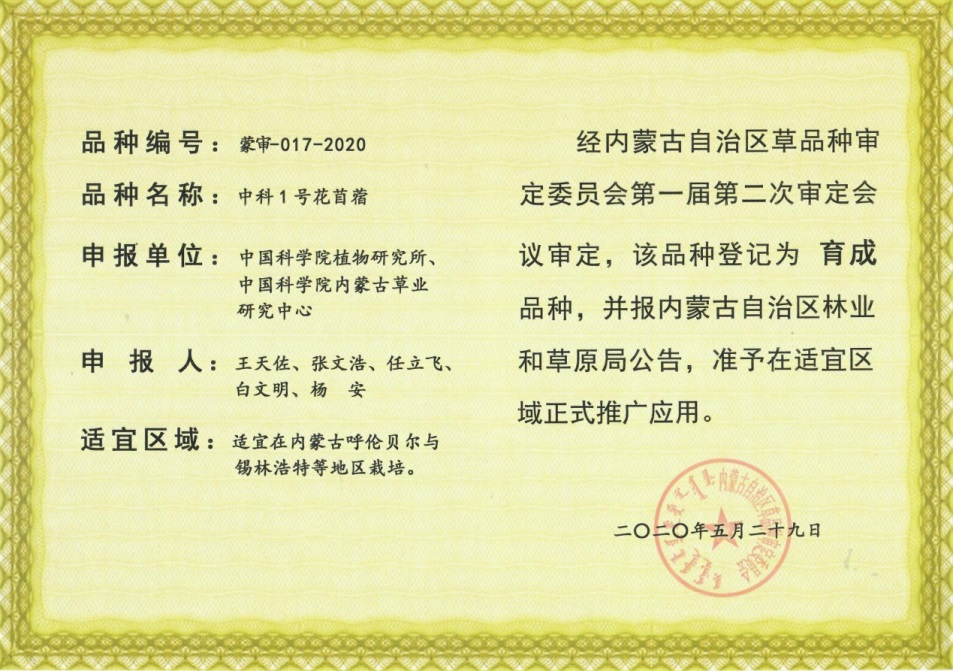 中科1号花苜蓿
