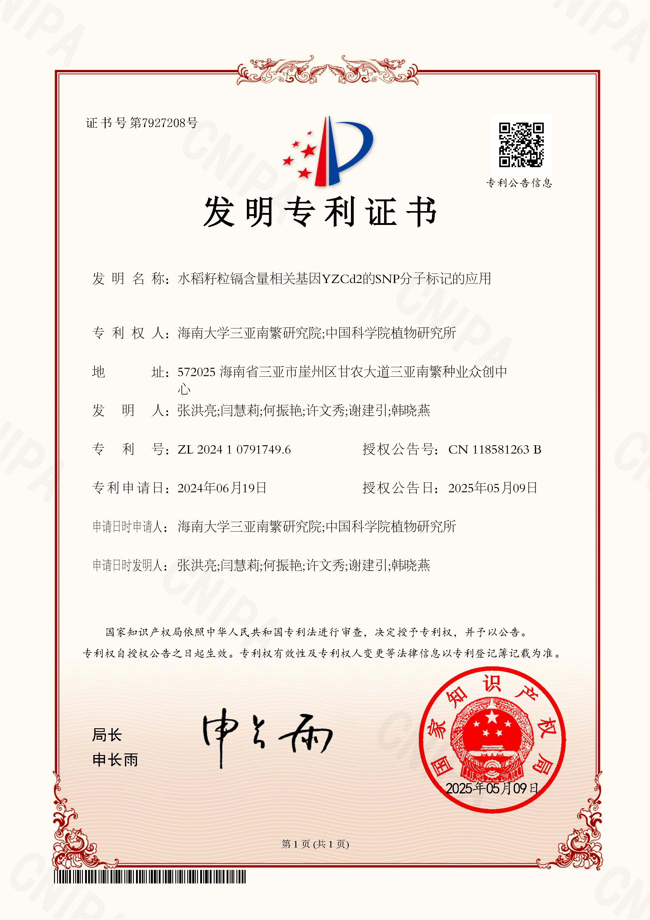 水稻籽粒镉含量相关基因YZCd2的SNP分子标记的应用