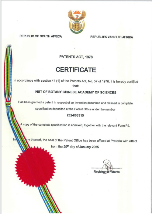 A Method and System to Segment the Point Clouds of Wheat Spike Based on Deep Learning and Geometric Correction