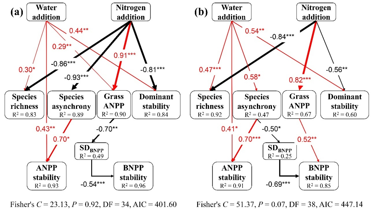 白文明团队在典型草原生态系统地下地上生产力稳定性调控机制研究中取得新进展