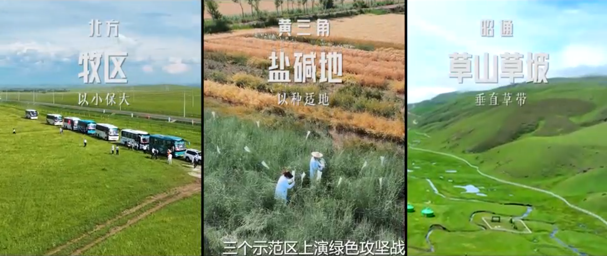 喜报：景海春研究员等指导作品荣获2025年中国科学院科普视频图片大赛一等奖