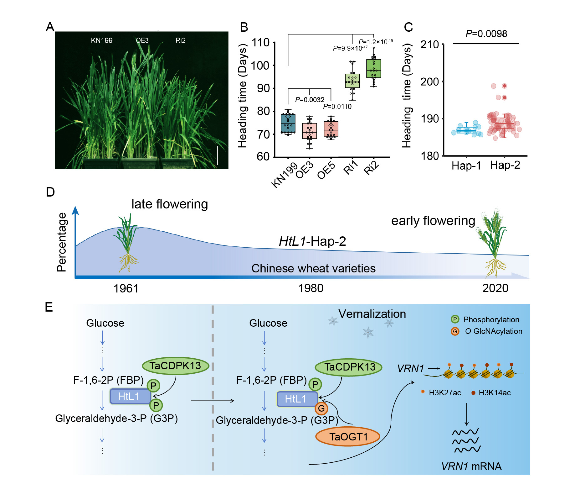种康团队<span style=